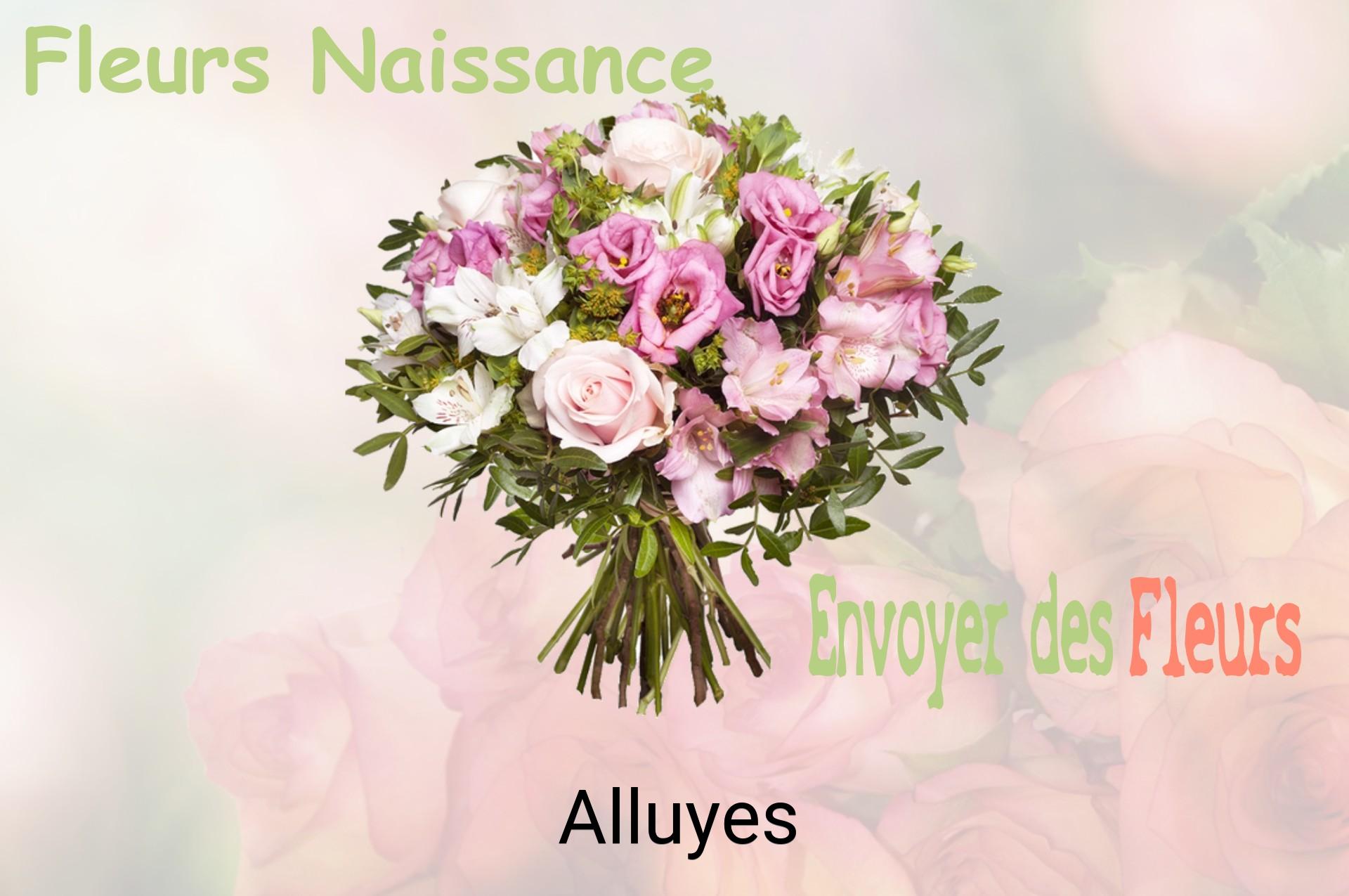 Bouquet de fleurs de naissance livré à Alluyes