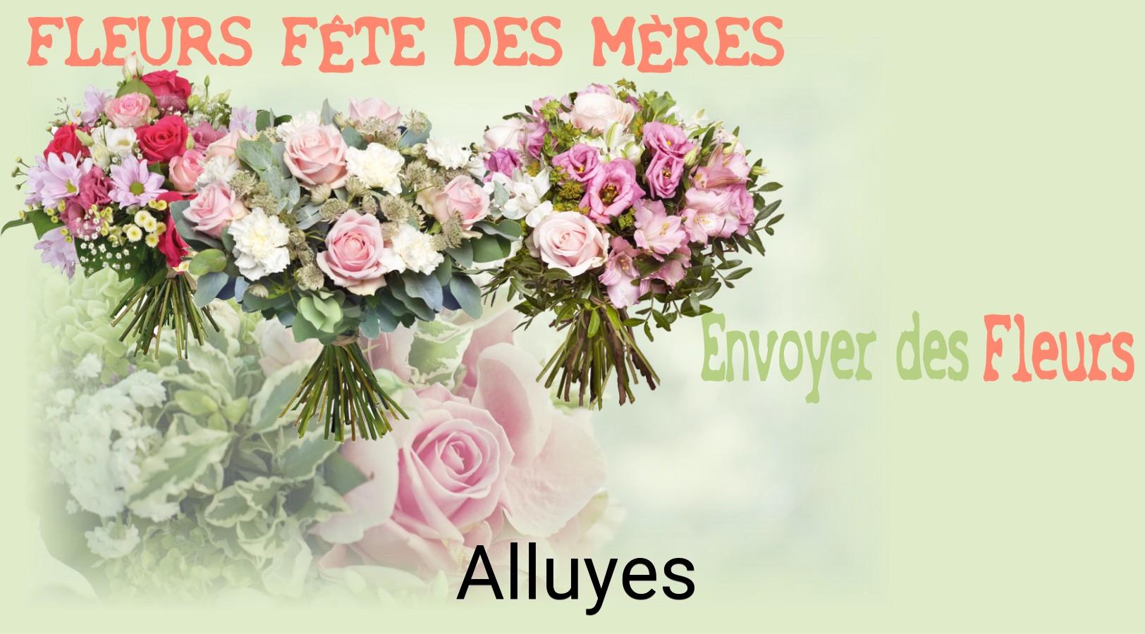 Bouquet de Fête des Mères livré à Alluyes